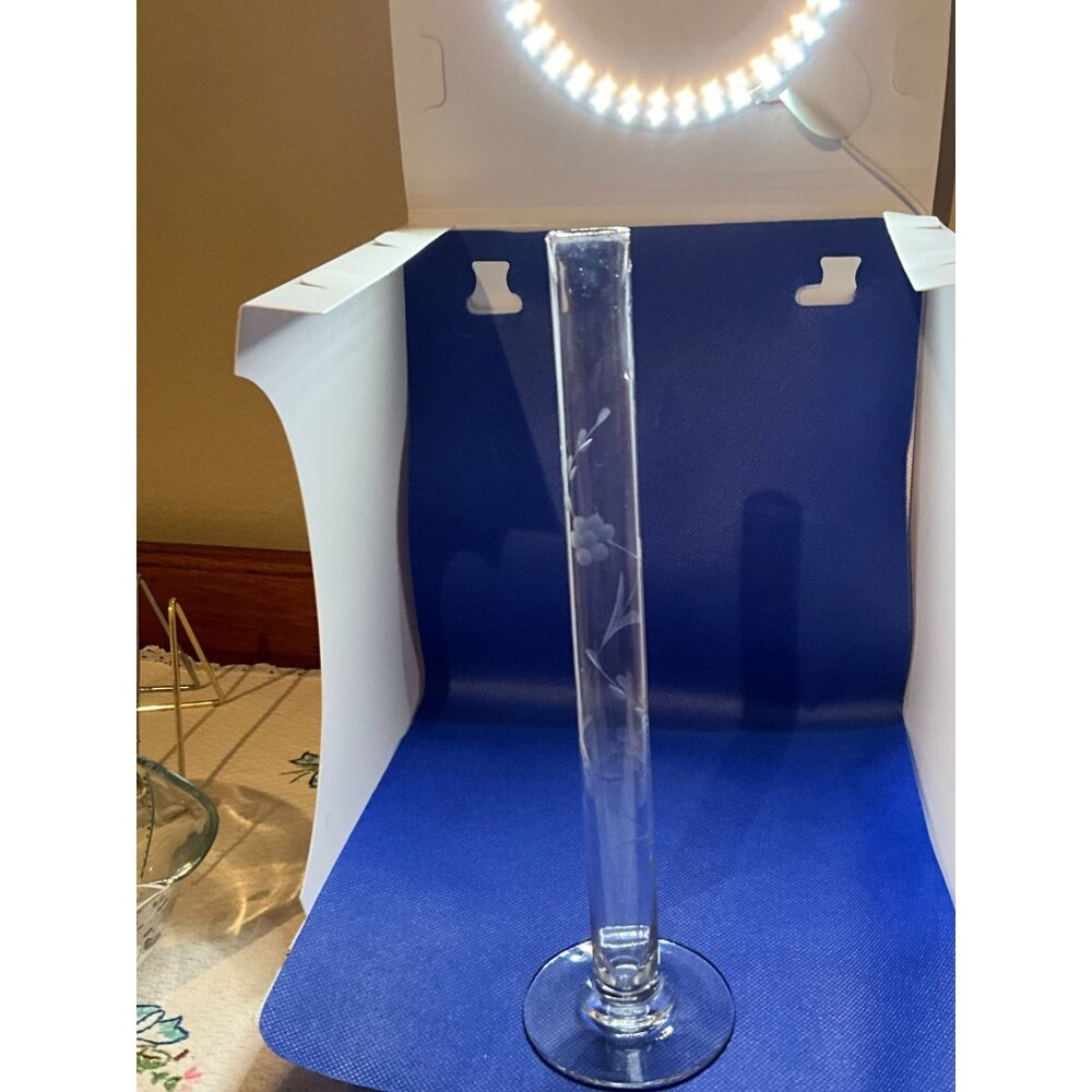 Vintage Hand-Blown Etched Glass Bud Vase - 10" Tall